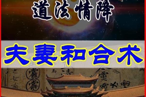 什么人可以使用因缘和合术 八字测算姻缘后使用