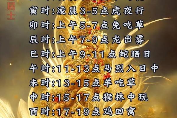 香港的综艺节目算命风水