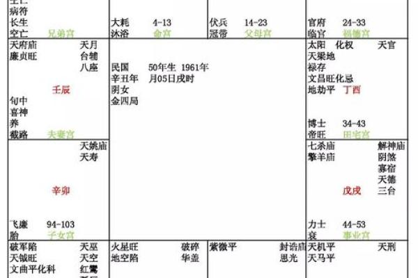 紫薇星斗数排盘准吗