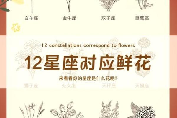 12花神都有哪些花 代表什么星座