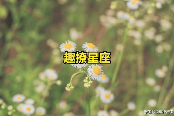 苏珊米勒每日星座运势2.27