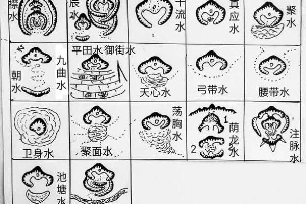 选择墓地风水的原则是什么