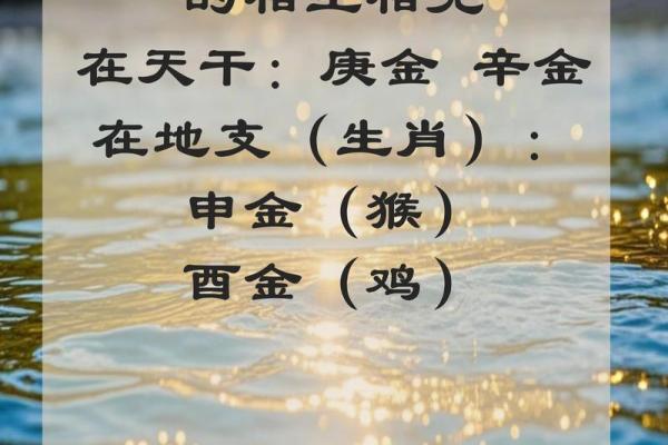 四柱八字与遗传基因的关系