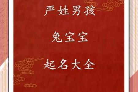 如何给属兔子时出生的男孩取名字姓名