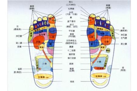 看相算命：详解脚底穴位图