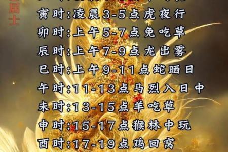 香港的综艺节目算命风水