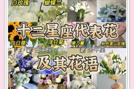 12花神都有哪些花 代表什么星座