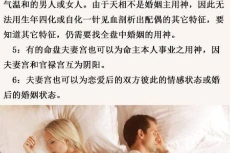 紫薇斗数婚姻墓