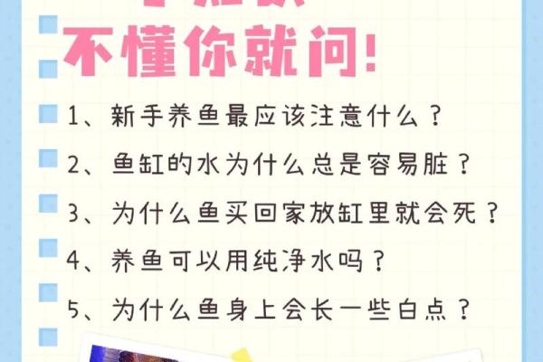 养鱼的喜忌：家庭养鱼风水讲究