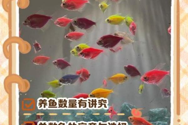 养鱼的喜忌：家庭养鱼风水讲究