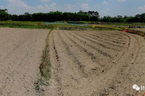 平原风水_你能晒一晒给大家分享吗 平原风水_你能晒一晒给大家分享吗