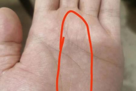 免费拍照看手相算命