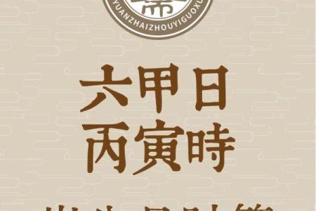 2024年10月28日农历九月二十三出生的人八字是什么
