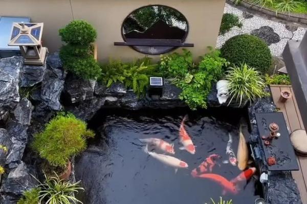 房子门口可以有鱼池吗风水