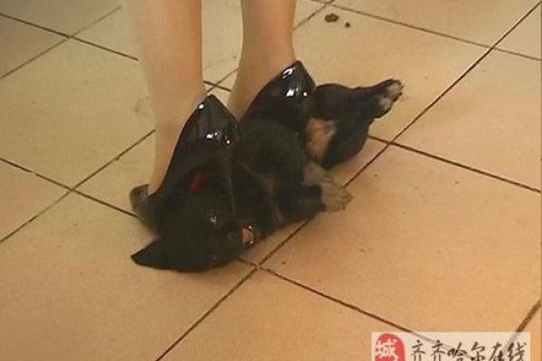 穿高跟鞋要注意什么样的风水禁忌？