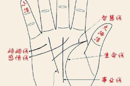 手相算命图解事业线
