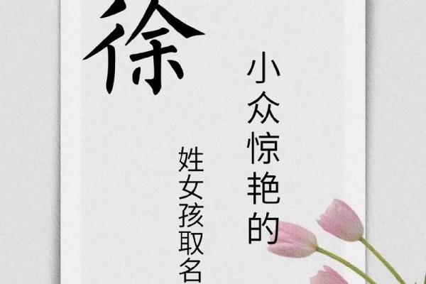 徐姓男孩名字大全-徐姓男孩起名字大全-徐姓名字大全姓名