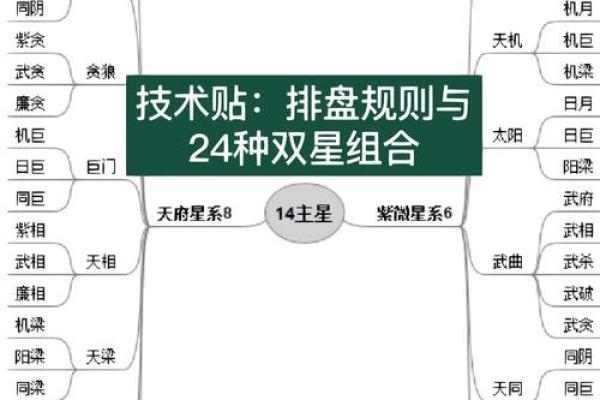 紫薇斗数阴阳相背