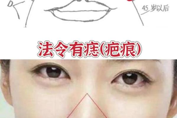 从法令纹看相算命