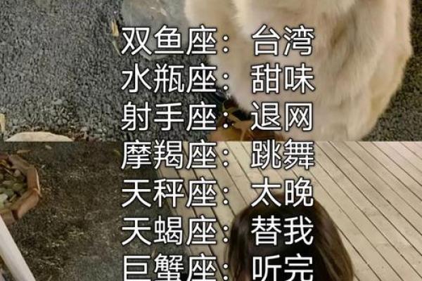 哪个星座打架能力最强 哪个星座打架能力最强