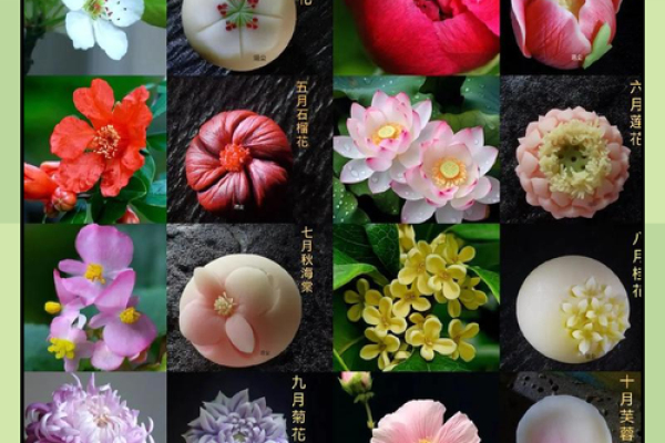 3月22日生日花语：白屈菜，3月22日是什么星座？