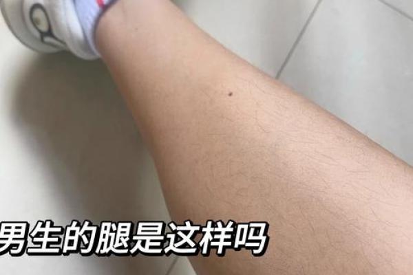 腿上有毛算命