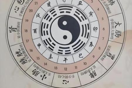 算命获得天命点