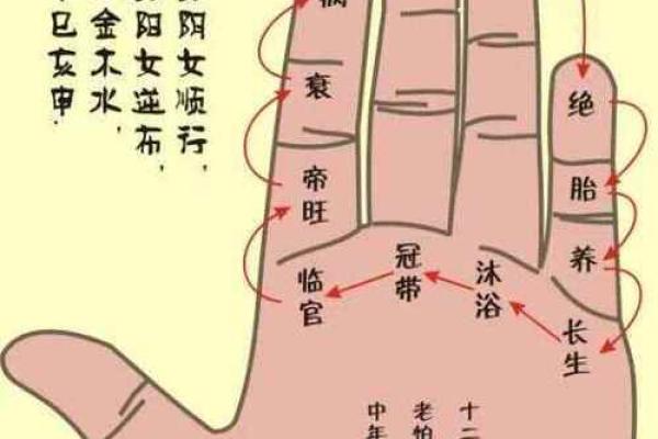 紫薇斗数掌决 紫薇斗数掌决