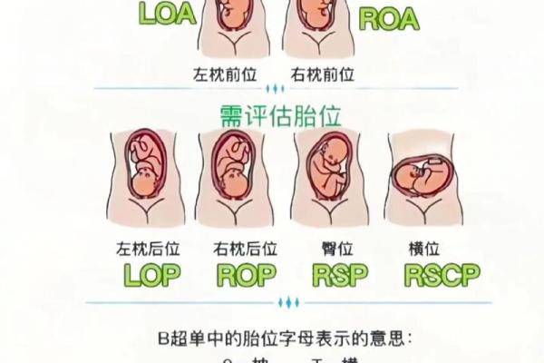胎记的位置与算命图解 胎记的位置与算命图解