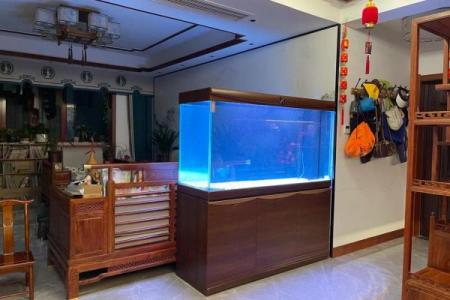 鱼缸的摆放位置与风水的关系