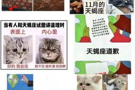 天蝎会屈服于哪个星座呢