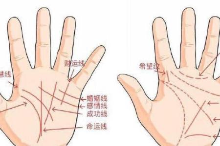 看相算命大全图解婚姻