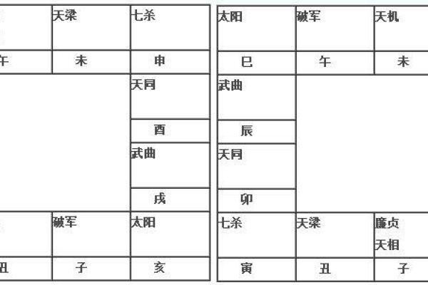 紫薇斗数子由 紫薇斗数子由
