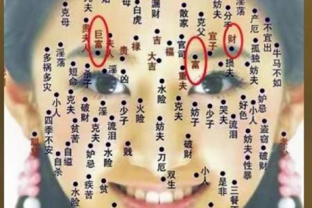 脸部黑痣算命图解