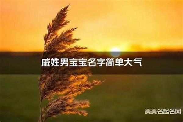 戚姓男孩名字大全-戚姓男孩起名字大全-戚姓名字大全姓名 戚姓男孩名字大全-戚姓男孩起名字大全-戚姓名字大全姓名