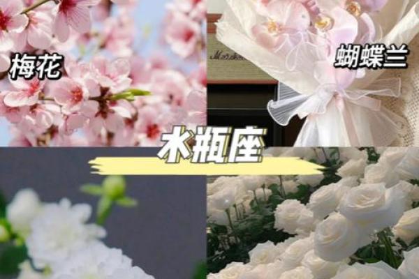 星座花语大全:每个星座的专属花语解读 星座花语大全:每个星座的专属花语解读