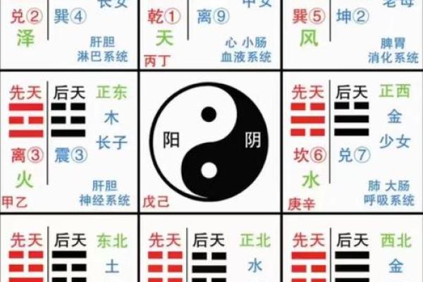 十个数字，揭示易经风水、命理八字等术数的本质奥秘！