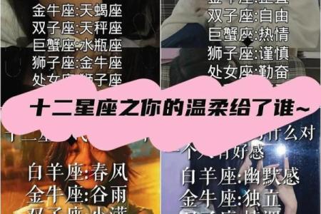 12星座里面哪个星座最适合做侦探呢