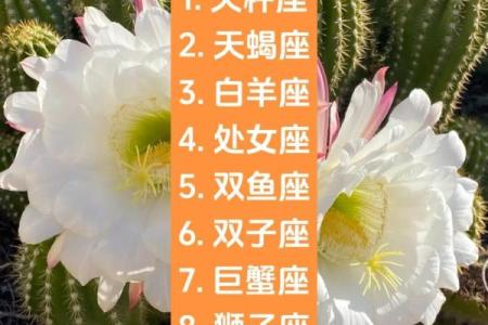 女人嫁哪个星座最好呢