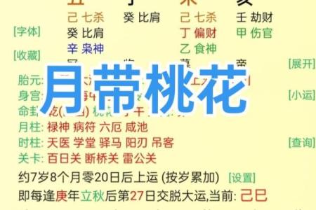 八字看配偶长相查询免费,八字配偶宫看配偶的能力和相貌