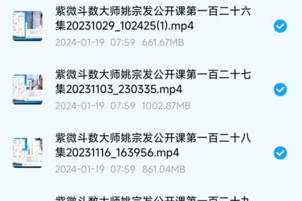 紫薇豆斗数软件 紫薇豆斗数软件