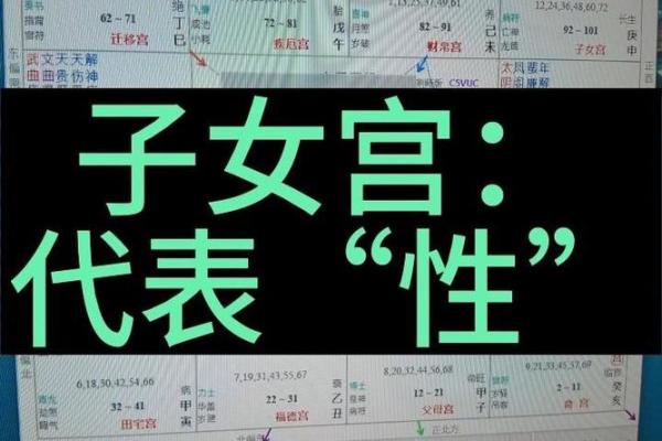 紫薇斗数子女流小 紫薇斗数子女流小