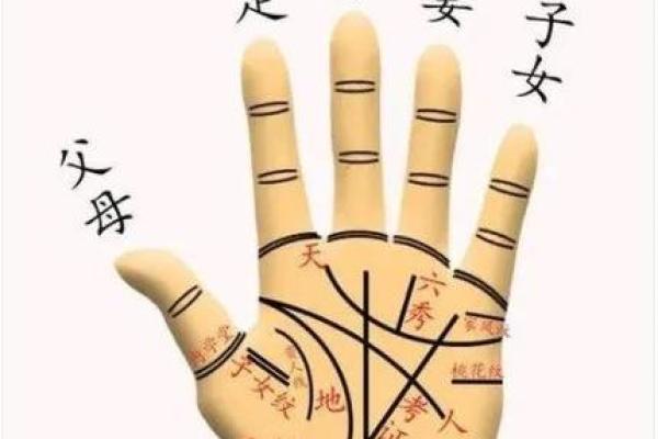 算命手势图含义 算命手势图含义