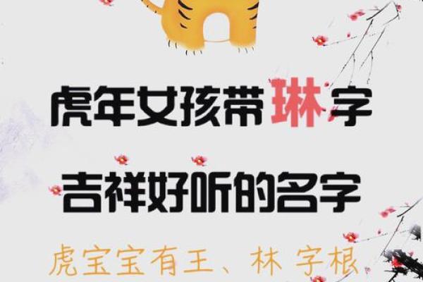 虎年女孩名字顺口好听的 新生儿起名字女孩生辰八字起名免费 虎年女孩名字顺口好听的 新生儿起名字女孩生辰八字起名免费