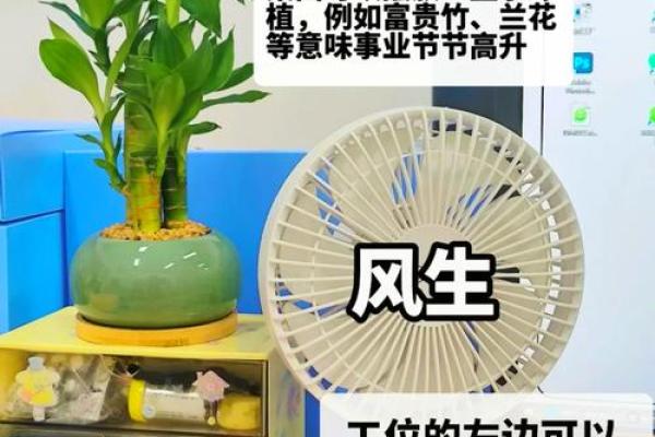 办公室风水，坐什么方位旺自己