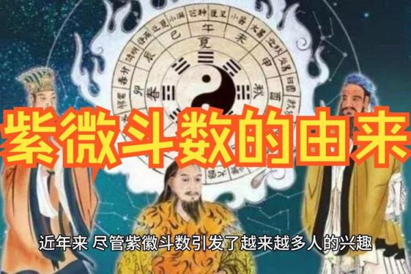 紫薇斗数视频 紫薇斗数视频