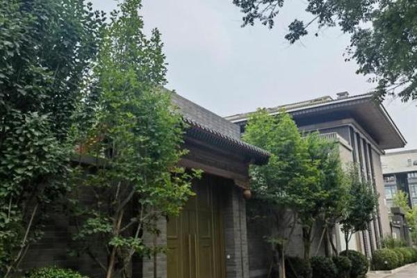 麻雀与房子风水有关吗