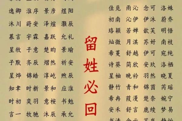 给凌晨2点出生的属鼠男孩取名字要用什么字姓名