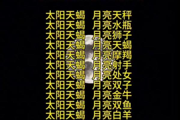 摩羯座的星座石是什么石头？狮子座的月亮星座是什么