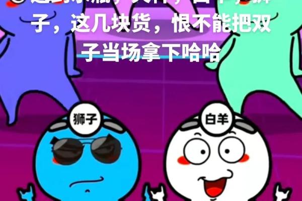 12星座双子座的男生帅吗